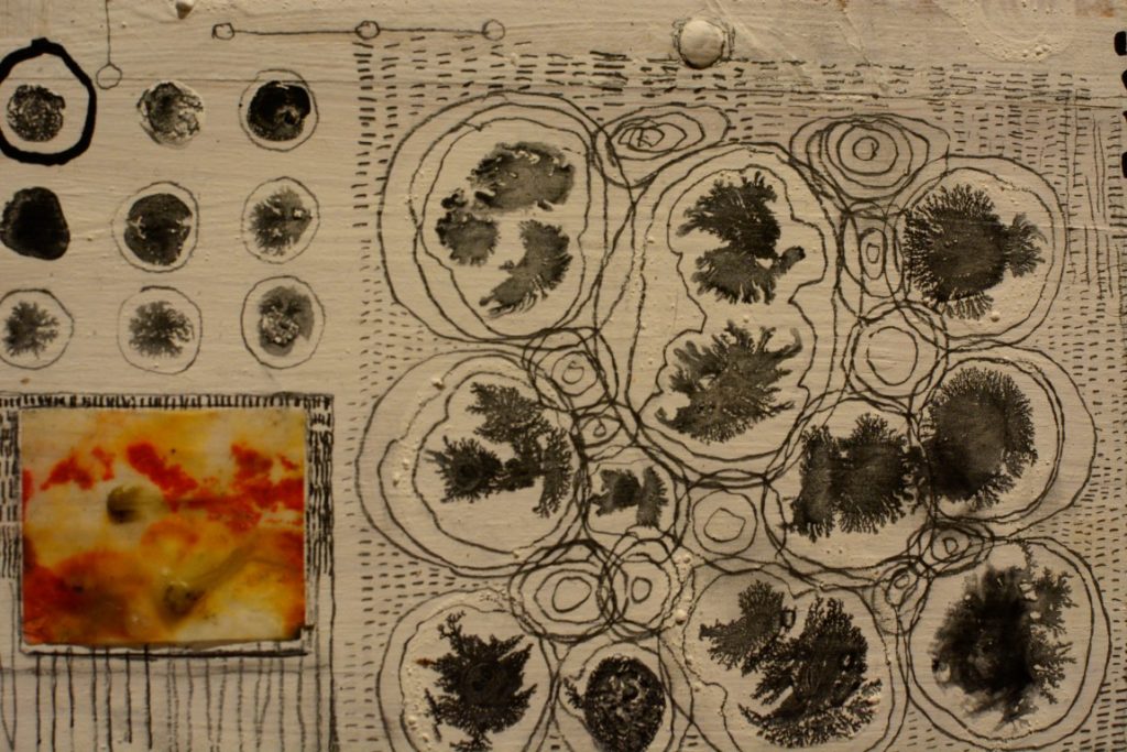 Abby_abstract_squares